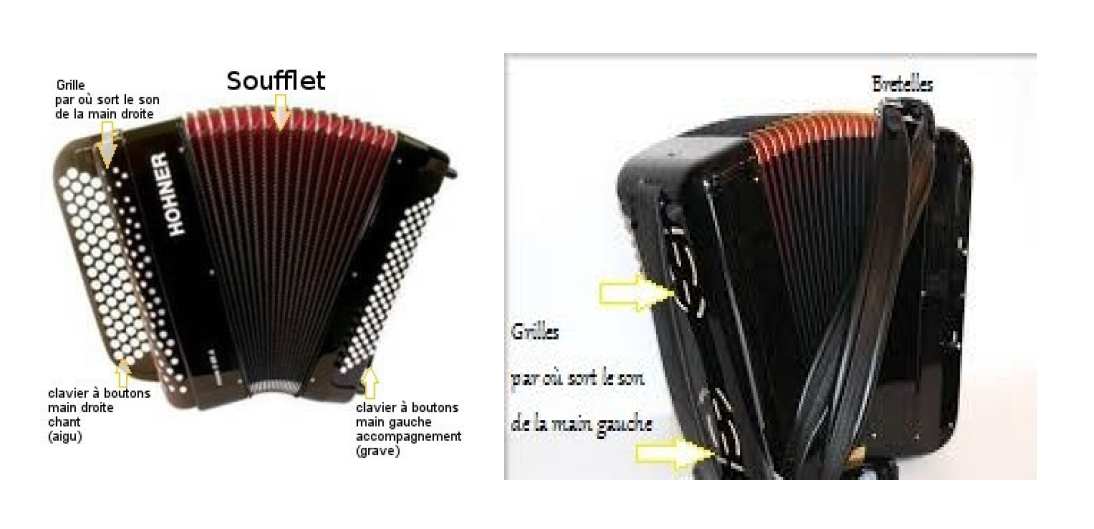 Les différentes parties d'un accordéon - Souffle de l'Accordéon